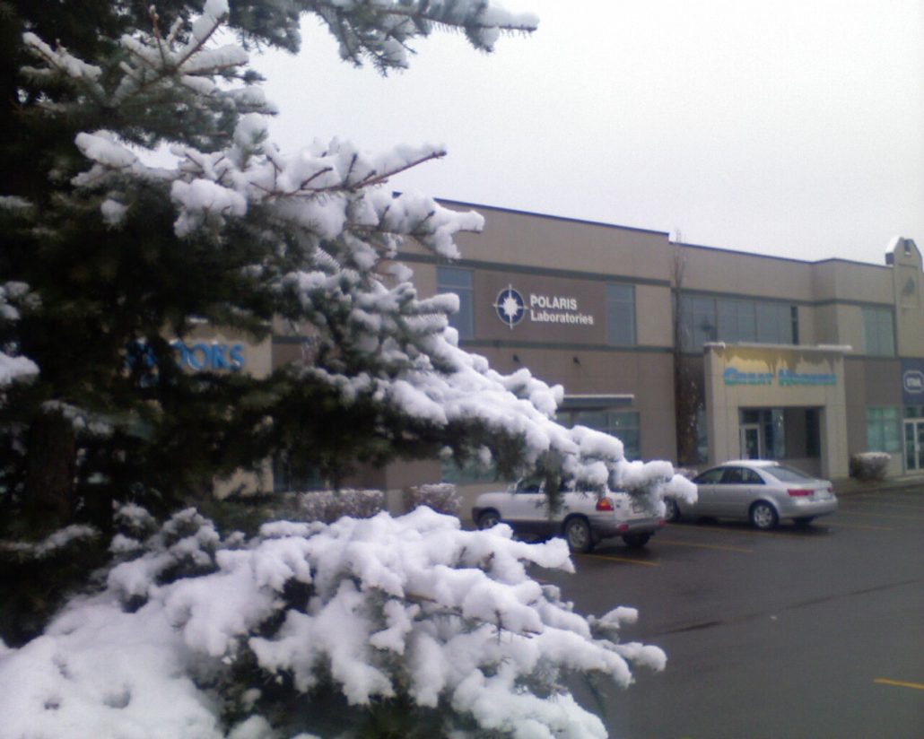First_Snow_Edmonton_08